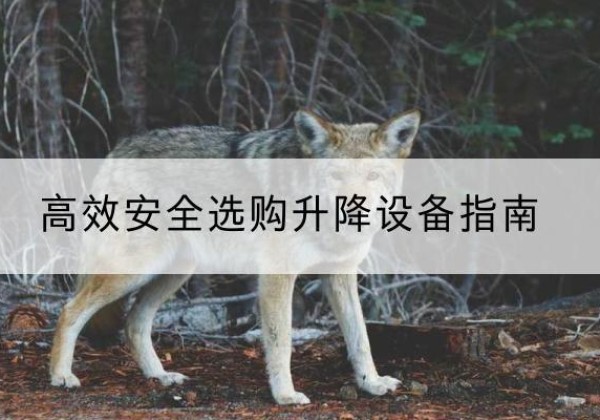 建安升降货梯厂家推荐-*安全选购升降设备指南