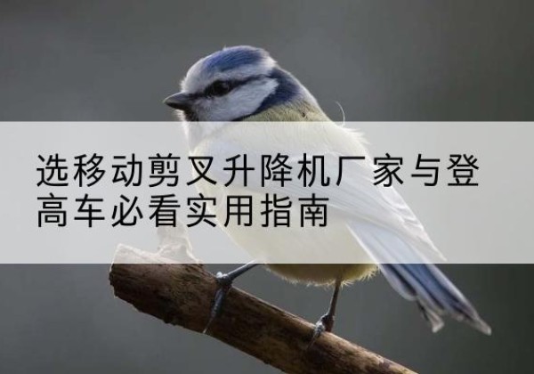 建安电动升降机厂家-选移动剪叉升降机厂家与登高车必看实用指南